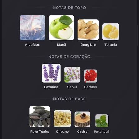 Pirâmide Olfativa (Nosso Produto)